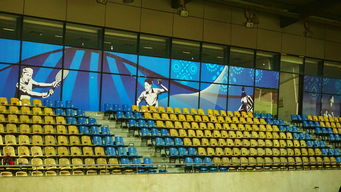 JIU YOU GAME-新加坡队未来计划：建立更完善的青少年乒乓培养体系，新加坡乒乓球运动